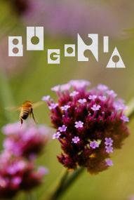 Bugonia (2025) stream deutsch