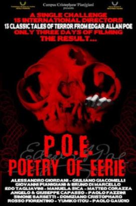 Edgar Allan Poe - Geschichten des Wahnsinns (2011)